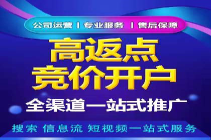百度推广中SEO优化的成功案例分析